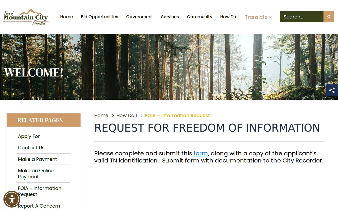 Mountain City criminal records request instructions on the town website