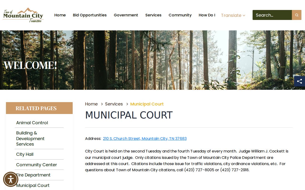 Mountain City Municipal Court criminal and citation records page