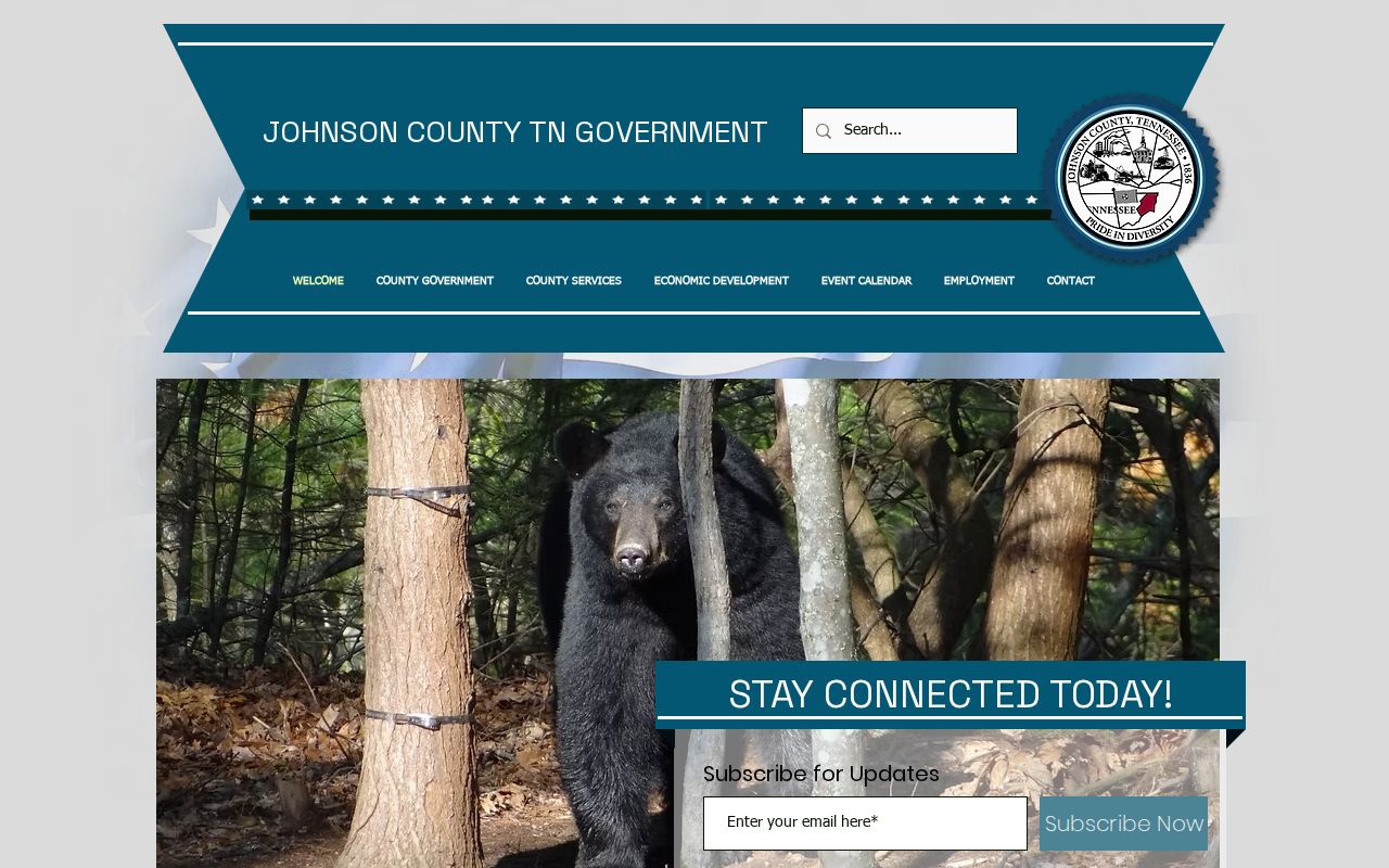 Johnson County criminal history county government gateway